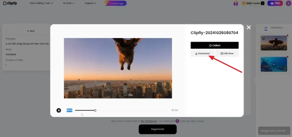 preview and download the clip