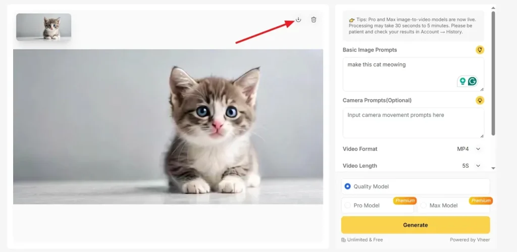download generated video vheer ai
