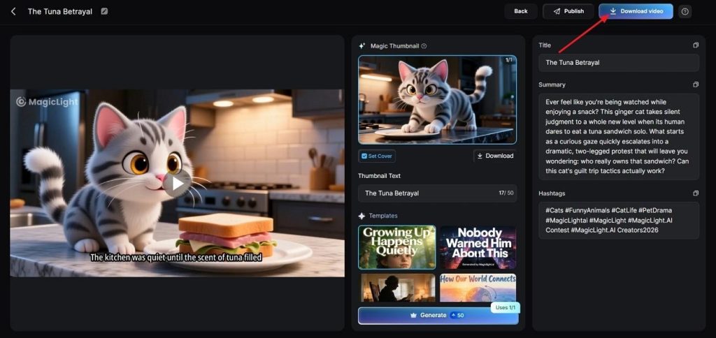 save final video after preview