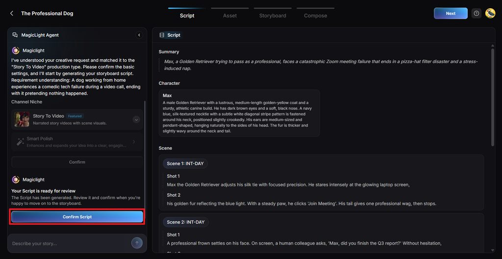 review scenes before confirming script