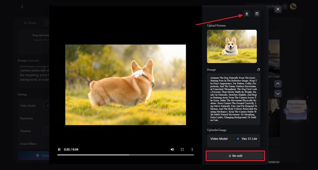 review animated result before saving