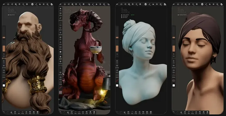interface of nomad app