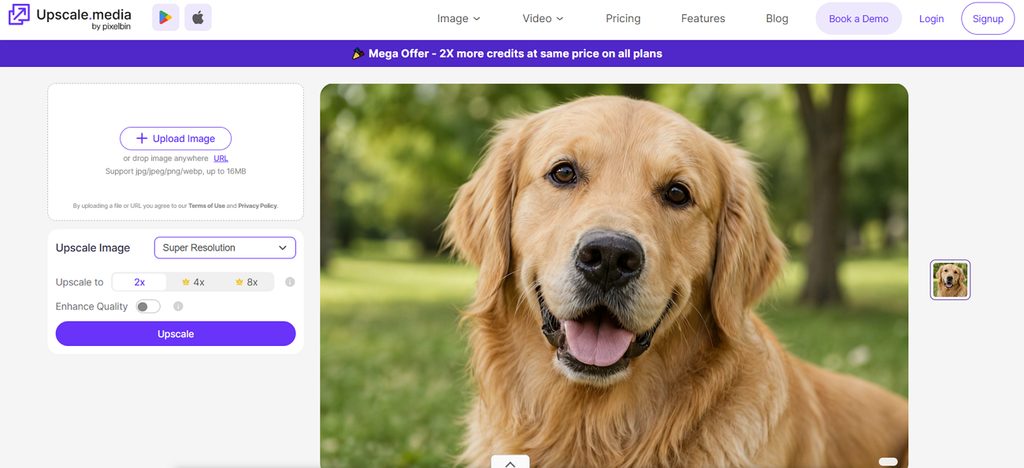 improving dog photo resolution online