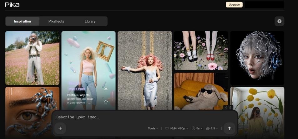 create stylized social video clips