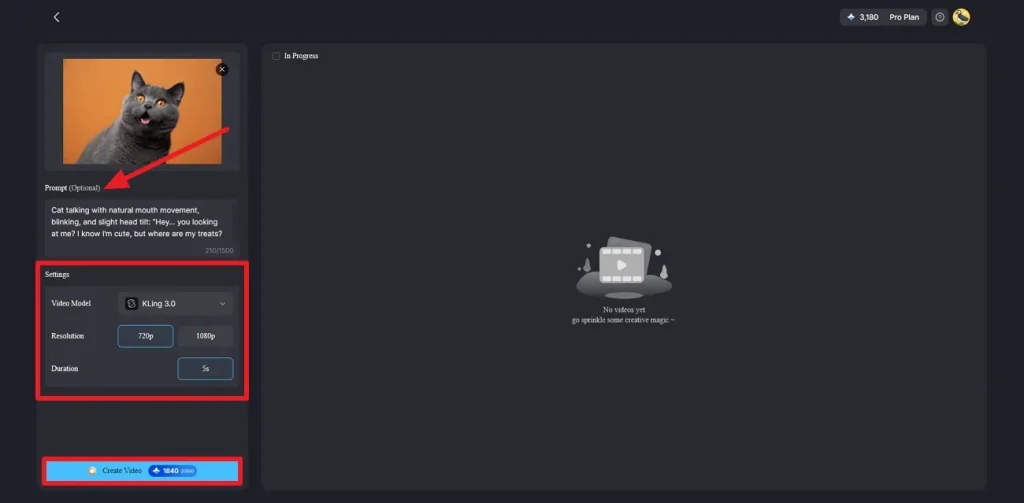 type prompt and adjust video settings