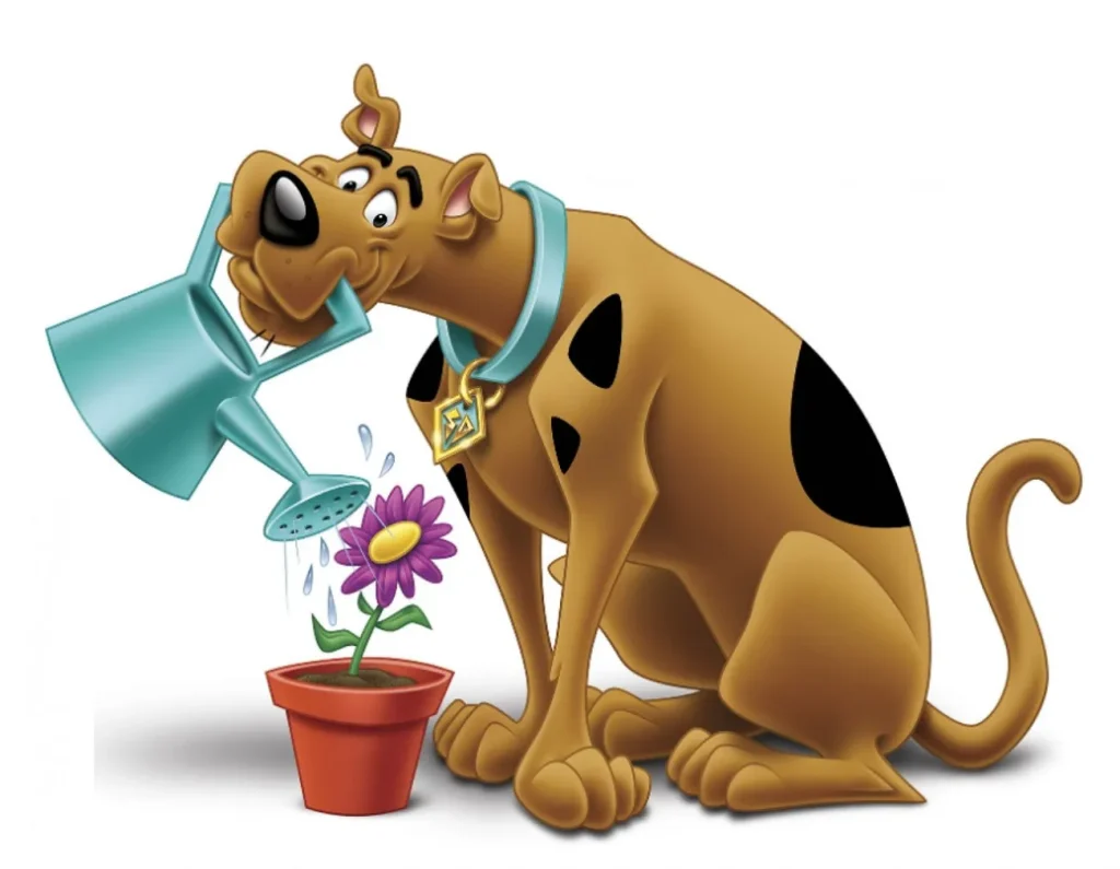 scooby watering potted flower