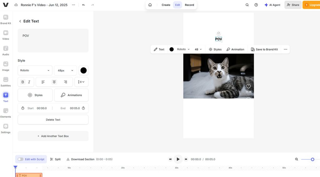 editing cat meme with text
