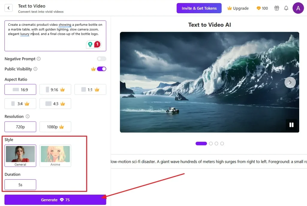 choose video style settings