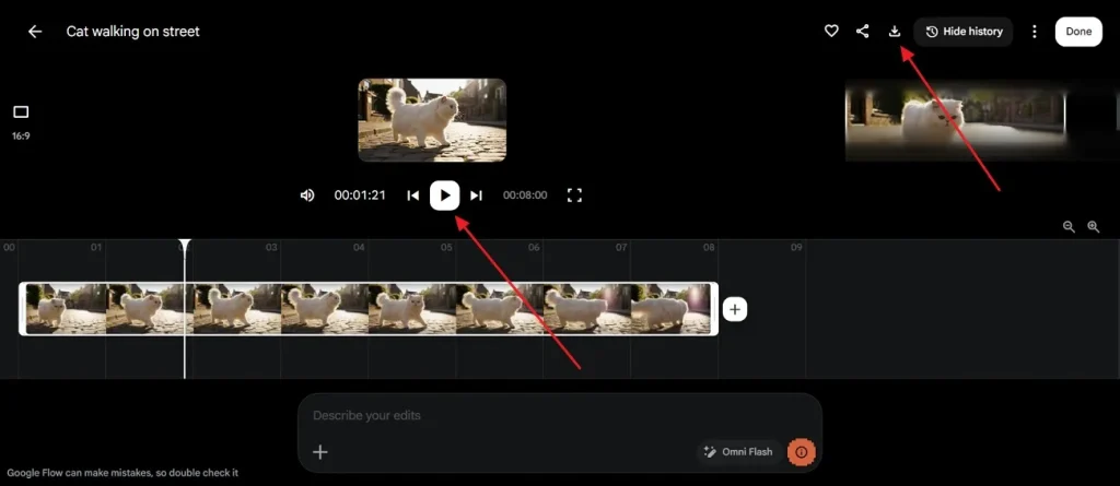 preview and download google flow video